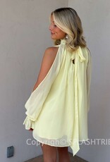 Celine Chiffon Long Sleeve Flowy Mini Dress
