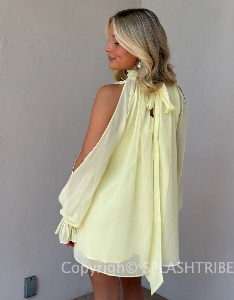 Celine Chiffon Long Sleeve Flowy Mini Dress