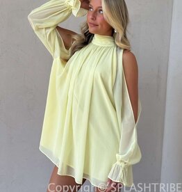Celine Chiffon Long Sleeve Flowy Mini Dress