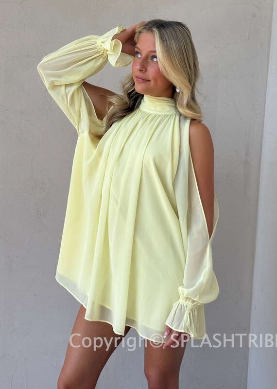 Celine Chiffon Long Sleeve Flowy Mini Dress