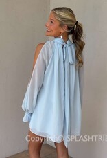 Celine Chiffon Long Sleeve Flowy Mini Dress