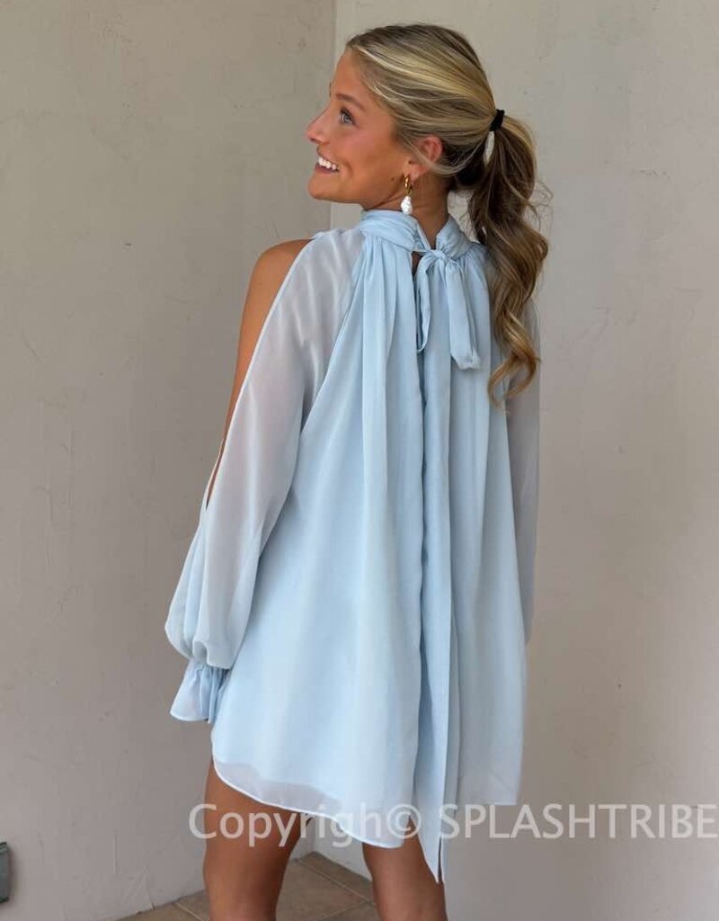 Celine Chiffon Long Sleeve Flowy Mini Dress