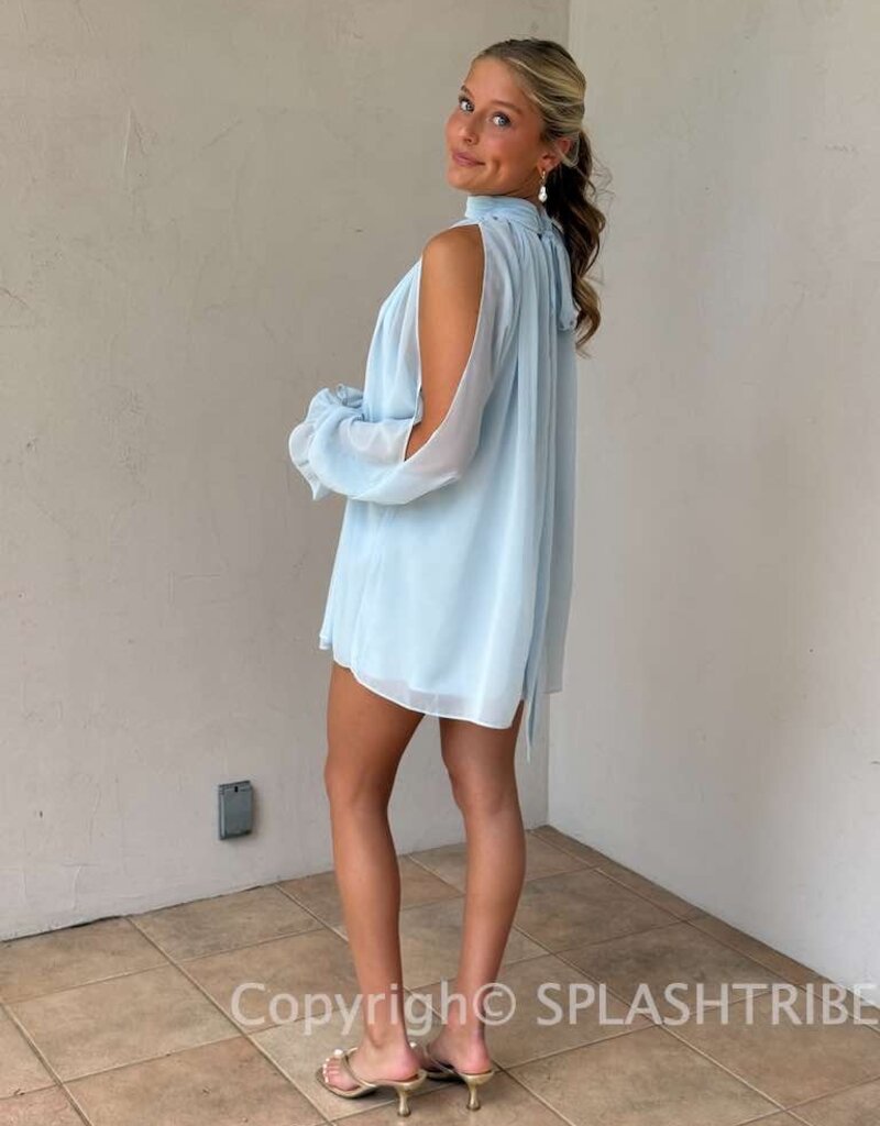 Celine Chiffon Long Sleeve Flowy Mini Dress