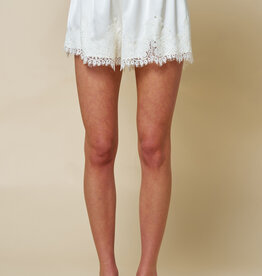 Chic Satin Lace Trim Shorts