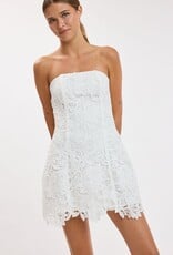Meredith Strapless Floral Embroidered Lace Mini Dress