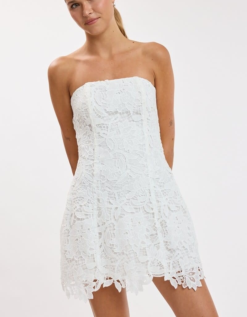 Meredith Strapless Floral Embroidered Lace Mini Dress