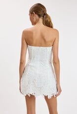Meredith Strapless Floral Embroidered Lace Mini Dress