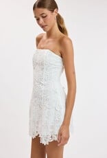 Meredith Strapless Floral Embroidered Lace Mini Dress