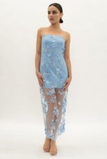 Jamie Embroidery Mesh Strapless Maxi Dress