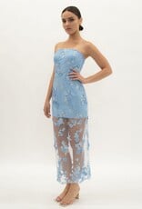 Jamie Embroidery Mesh Strapless Maxi Dress