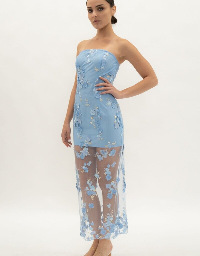 Jamie Embroidery Mesh Strapless Maxi Dress