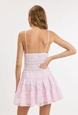 Floral Embossed Lace Solid Mini Dress