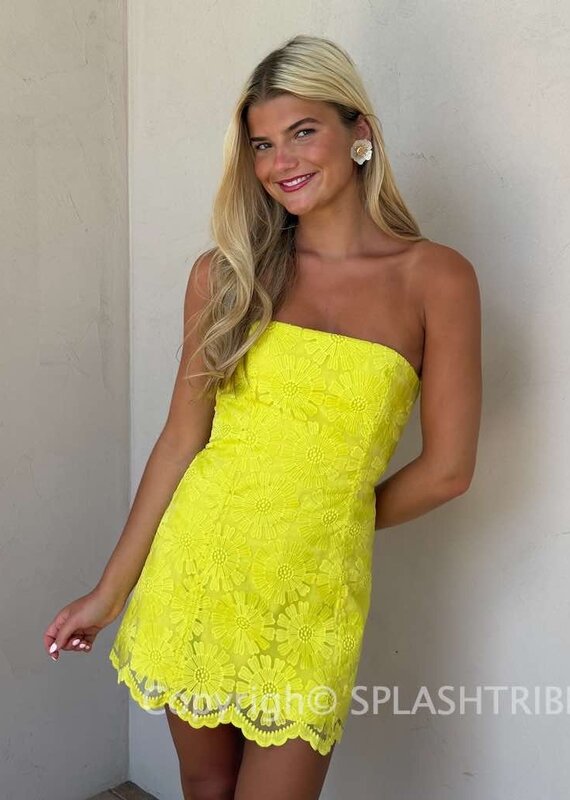 Amanda Uprichard Daisy Strapless Floral Texture Romper Mini Dress