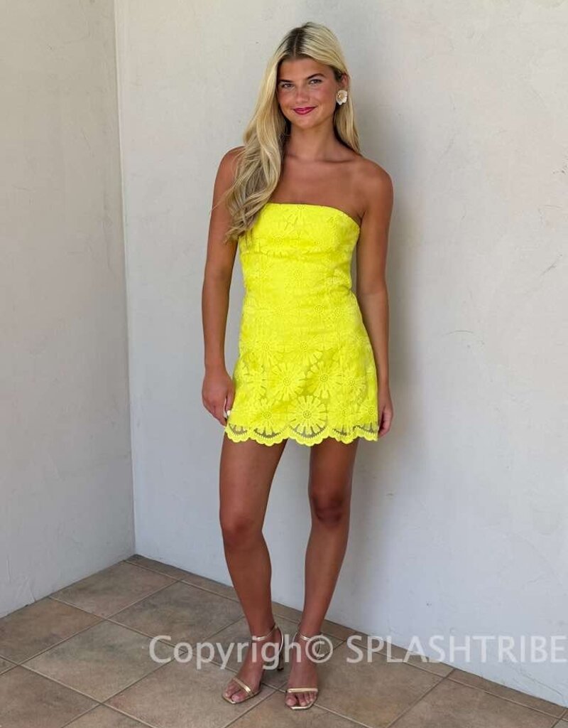 Amanda Uprichard Daisy Strapless Floral Texture Romper Mini Dress