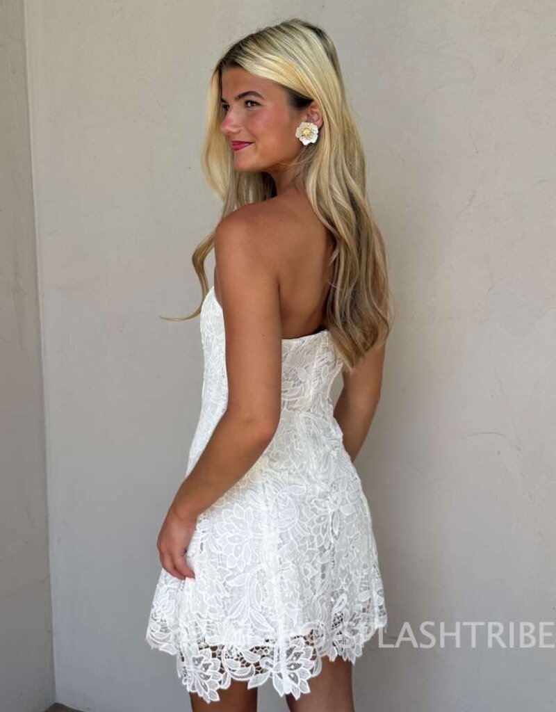 Meredith Strapless Floral Embroidered Lace Mini Dress