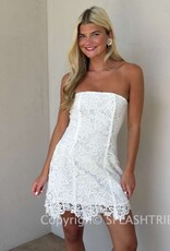 Meredith Strapless Floral Embroidered Lace Mini Dress