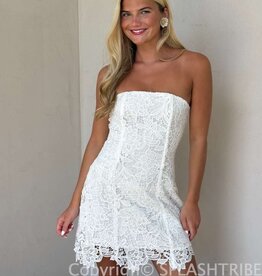 Meredith Strapless Floral Embroidered Lace Mini Dress