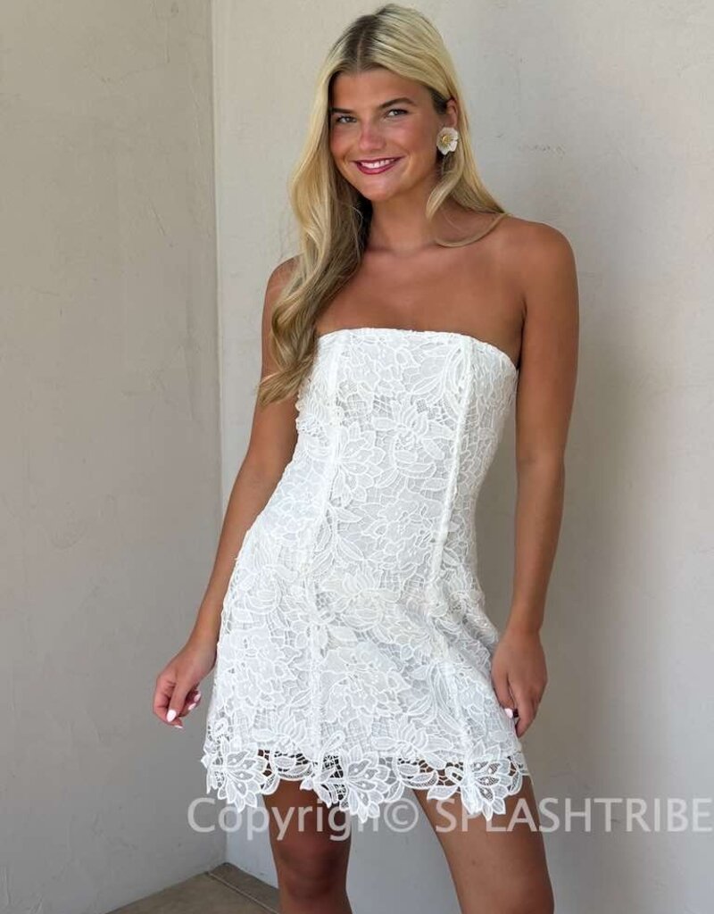 Meredith Strapless Floral Embroidered Lace Mini Dress