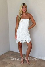 Meredith Strapless Floral Embroidered Lace Mini Dress