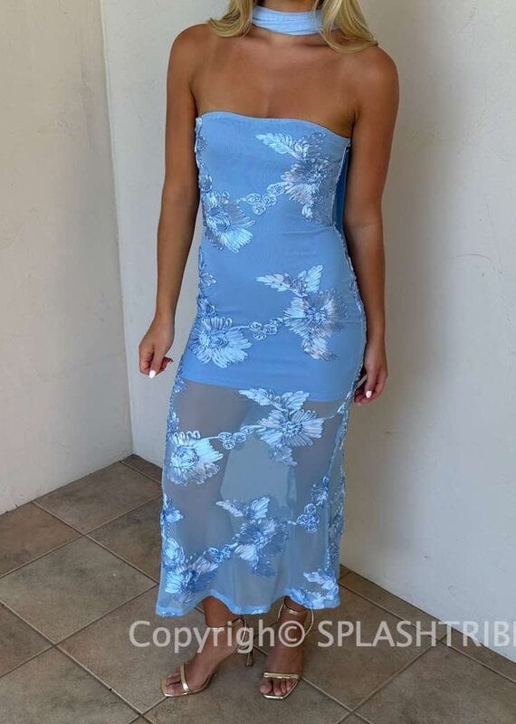 Demi Floral Embroidered Sheer Maxi Dress