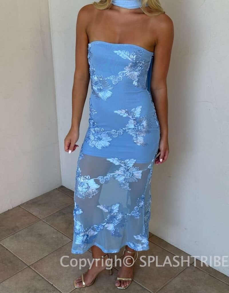Demi Floral Embroidered Sheer Maxi Dress
