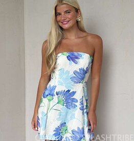 June Floral Print Eyelet Strapless A Line Mini Dress