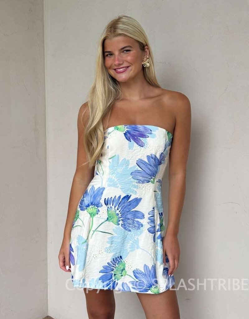 June Floral Print Eyelet Strapless A Line Mini Dress