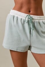 Mid Rise Stripe Shorts