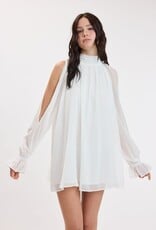 Celine Chiffon Long Sleeve Flowy Mini Dress