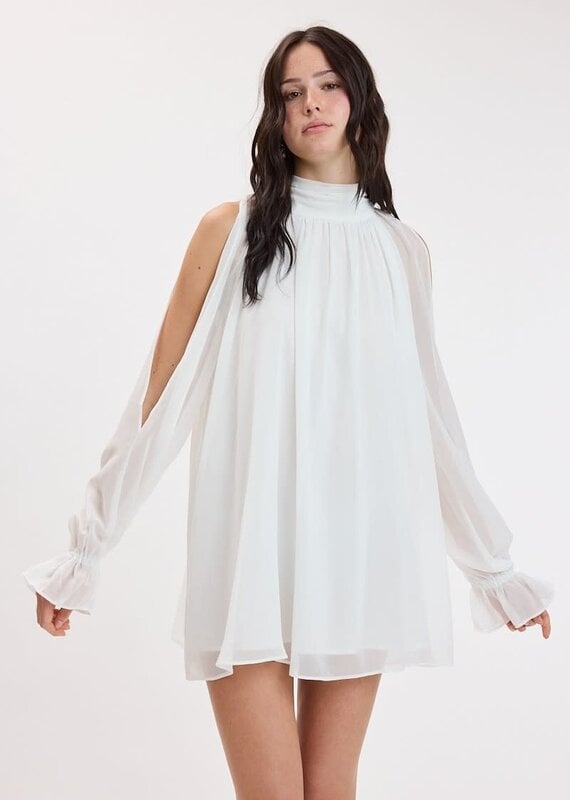 Celine Chiffon Long Sleeve Flowy Mini Dress