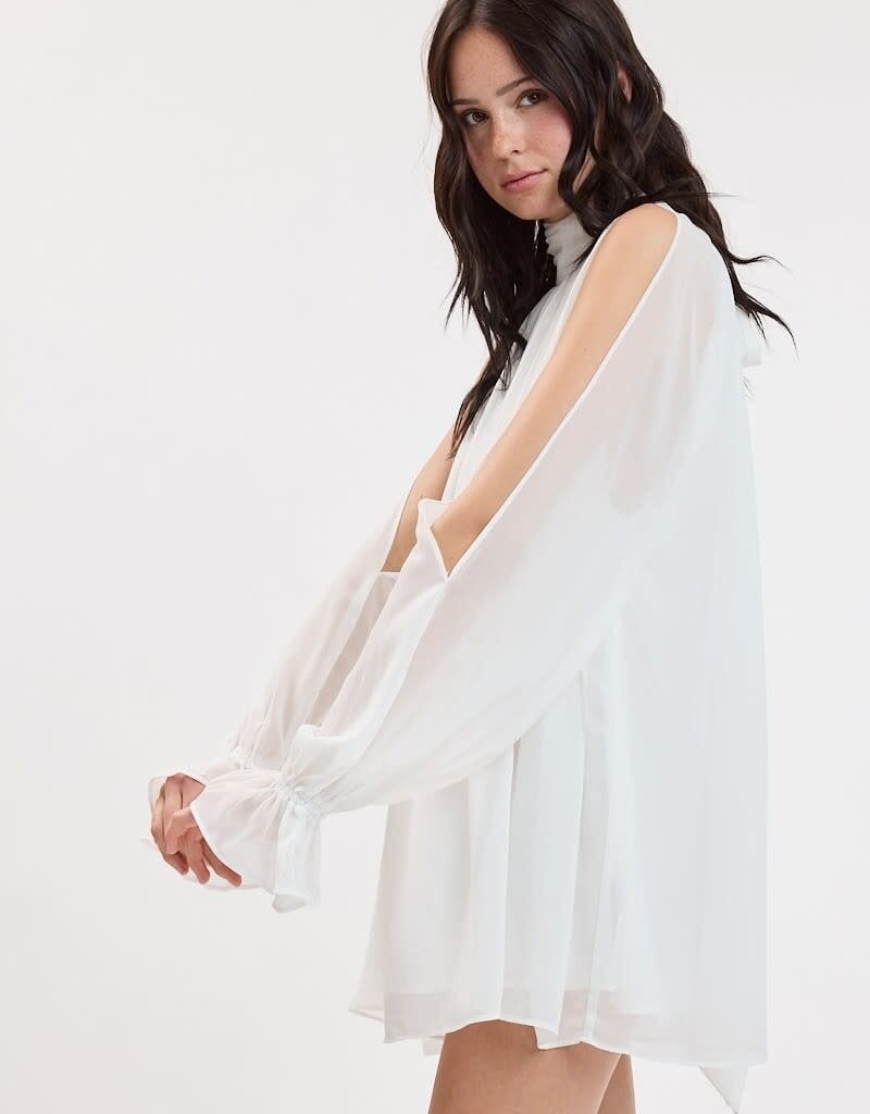 Celine Chiffon Long Sleeve Flowy Mini Dress