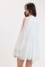 Celine Chiffon Long Sleeve Flowy Mini Dress