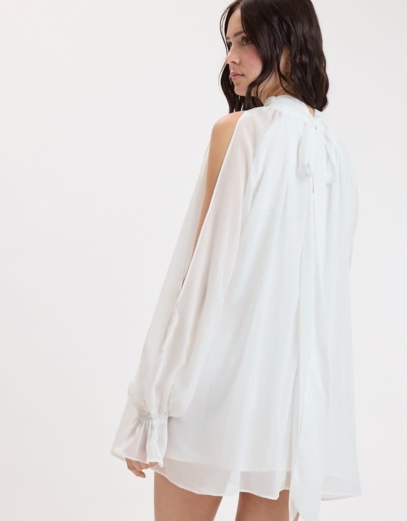 Celine Chiffon Long Sleeve Flowy Mini Dress