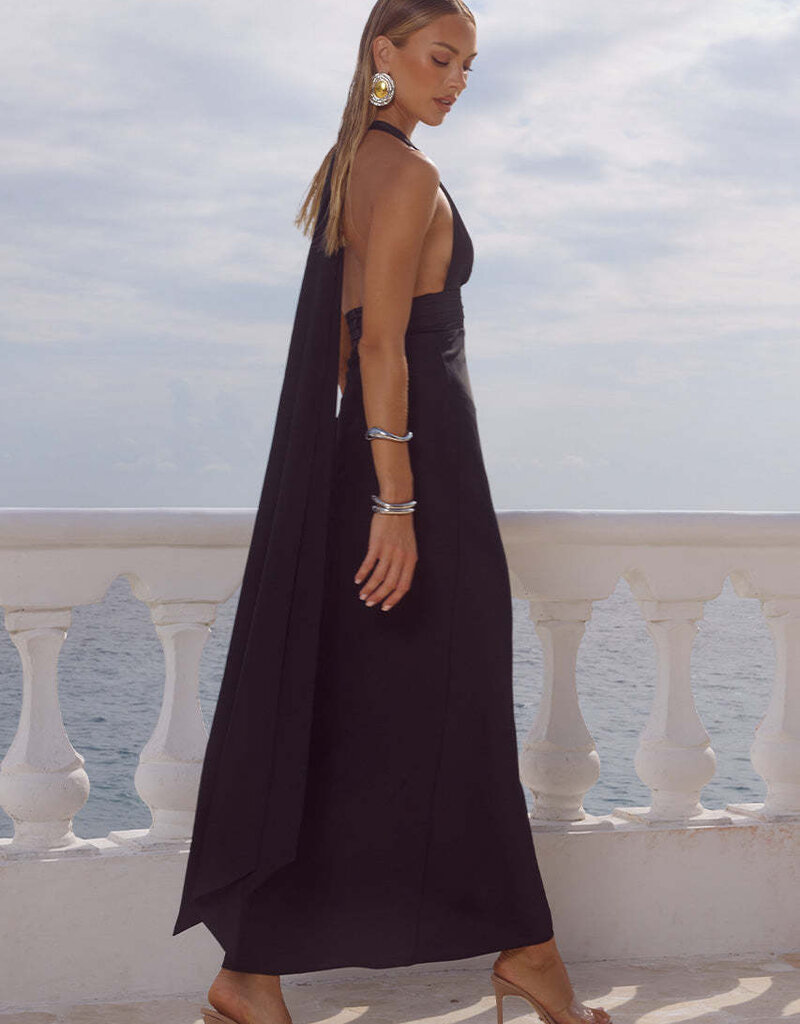 Sylvie Plunge V Neck Maxi Dress
