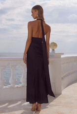 Sylvie Plunge V Neck Maxi Dress