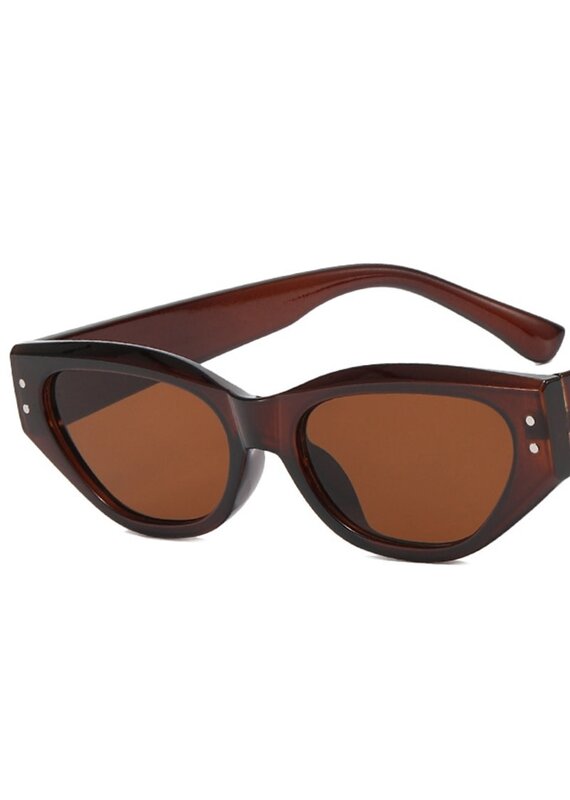 Bessette Retro Sunglasses Coffee Brown
