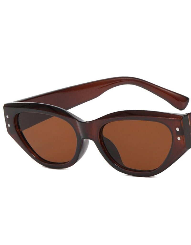 Bessette Retro Sunglasses Coffee Brown