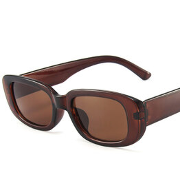Small Frame Square Sunglasses Brown