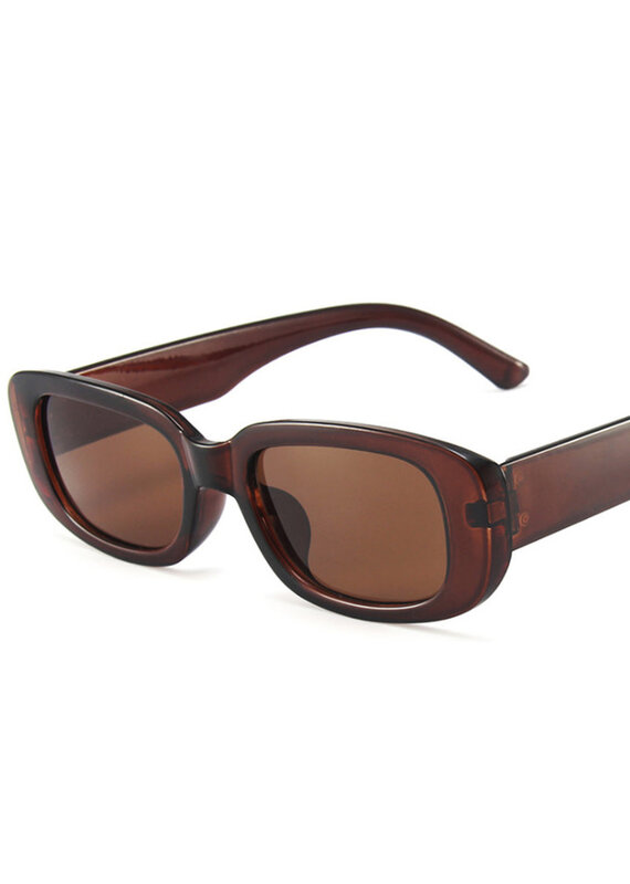 Small Frame Square Sunglasses Brown