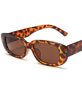 Small Frame Square Sunglasses Leopard Brown
