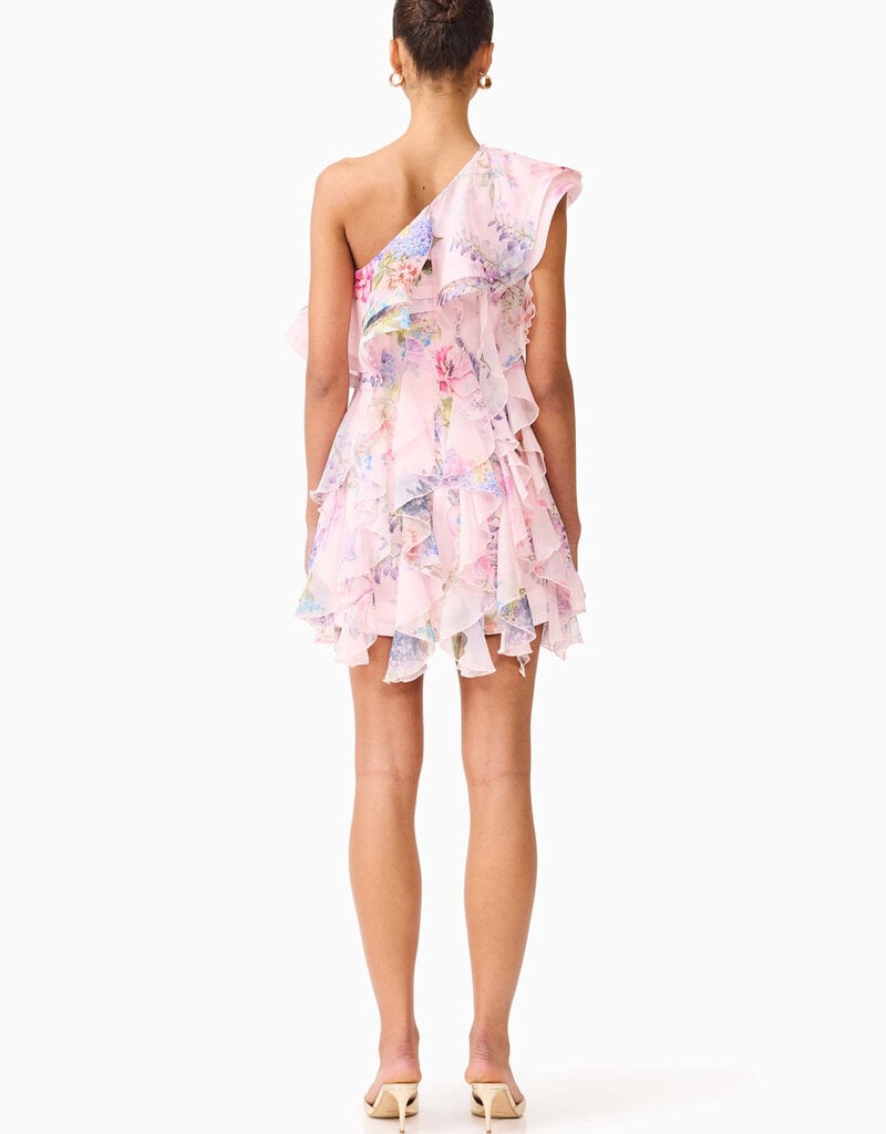 Elliatt Millie Ruffle Mini Dress