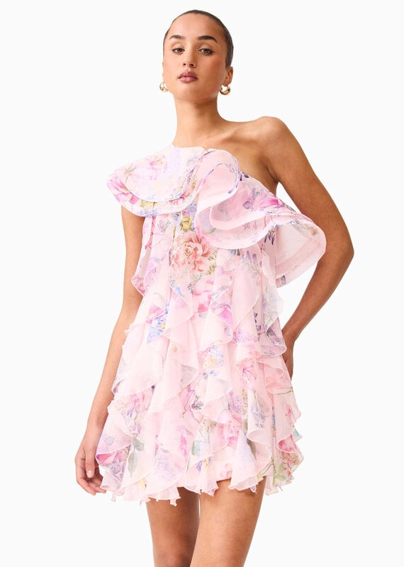 Elliatt Millie Ruffle Mini Dress
