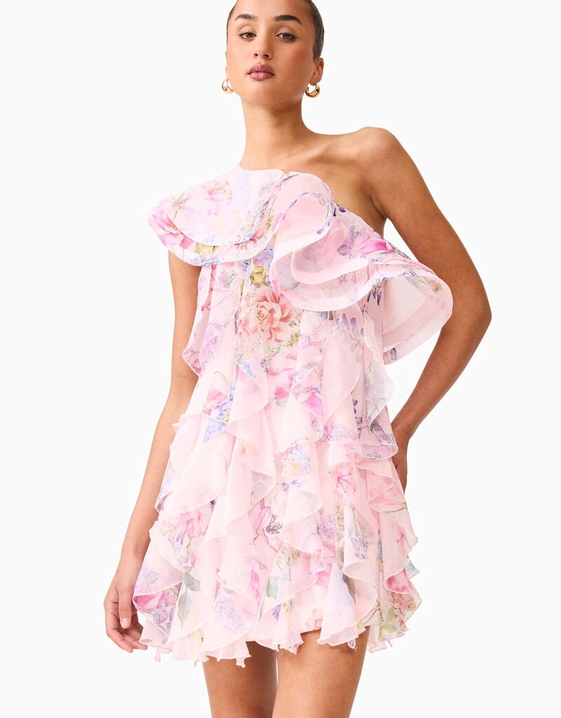 Elliatt Millie Ruffle Mini Dress