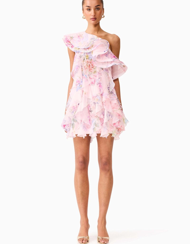 Elliatt Millie Ruffle Mini Dress