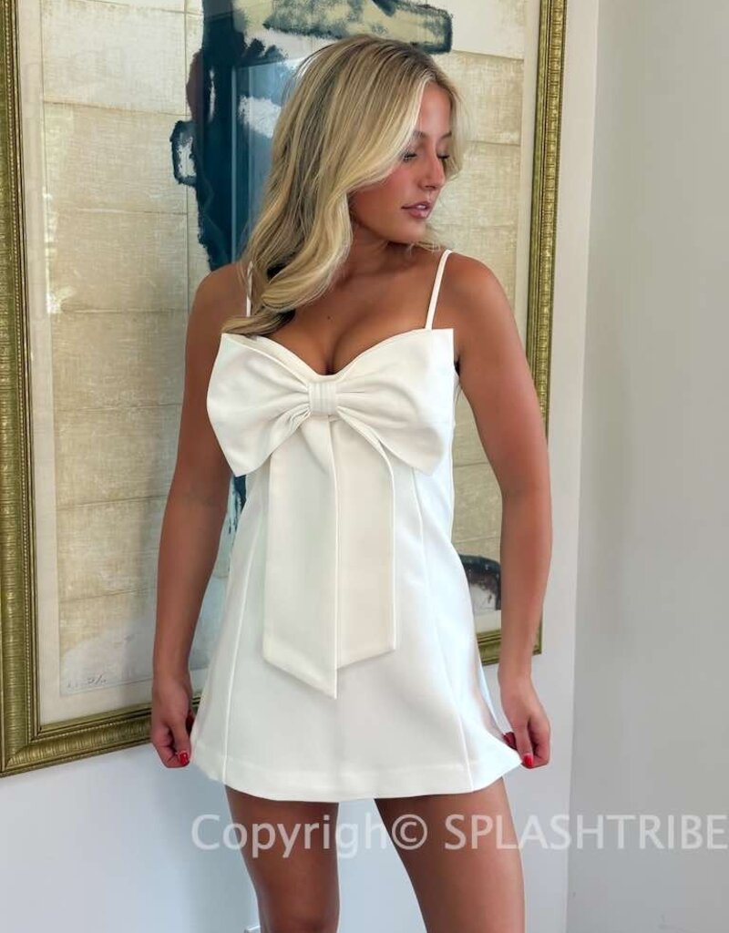 Oversized Bow Structured Mini Dress