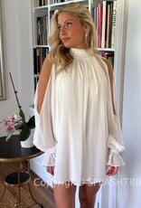 Celine Chiffon Long Sleeve Flowy Mini Dress