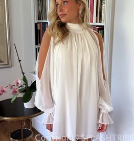 Celine Chiffon Long Sleeve Flowy Mini Dress