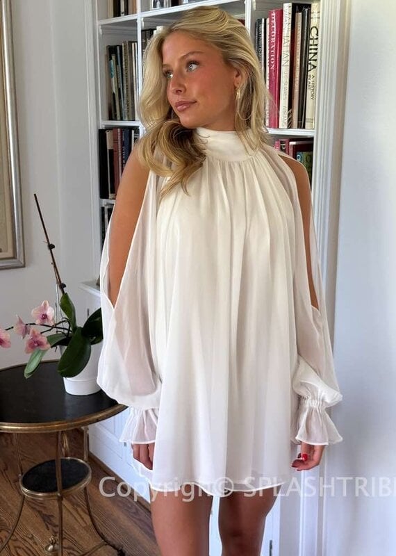 Celine Chiffon Long Sleeve Flowy Mini Dress