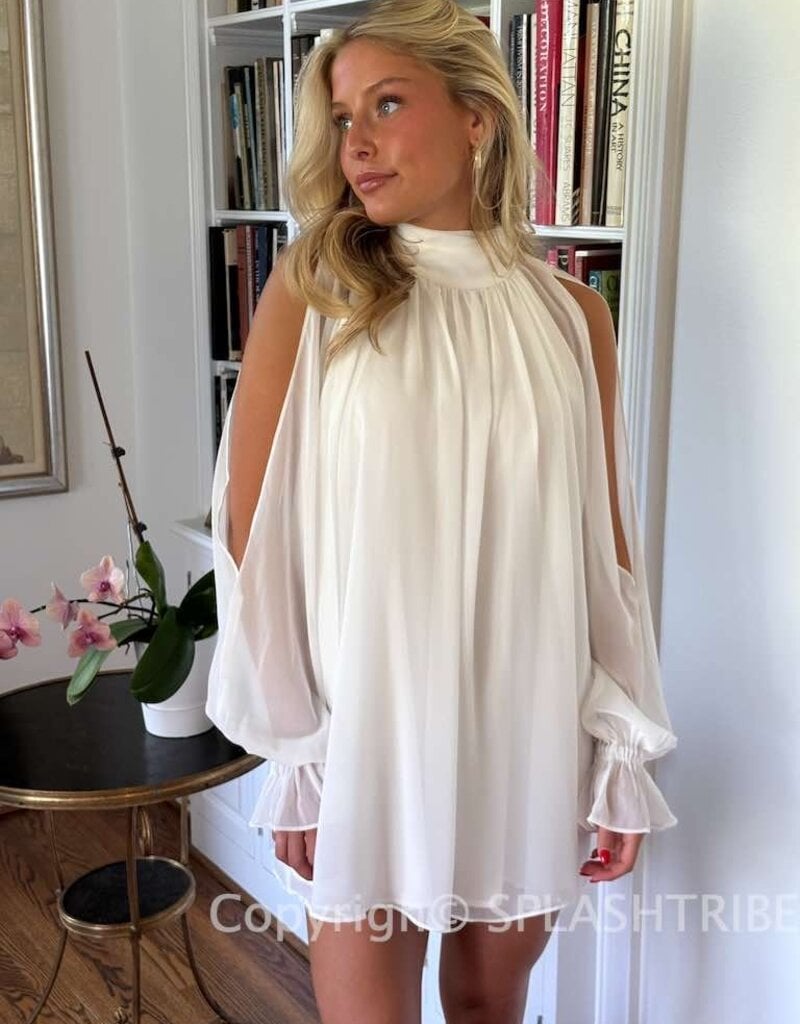 Celine Chiffon Long Sleeve Flowy Mini Dress
