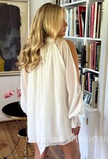 Celine Chiffon Long Sleeve Flowy Mini Dress